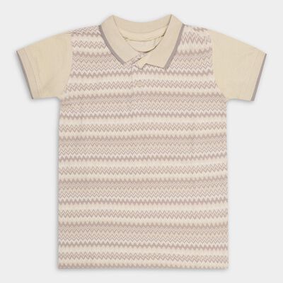 Boys' 100% Cotton Half Sleeves T-Shirt