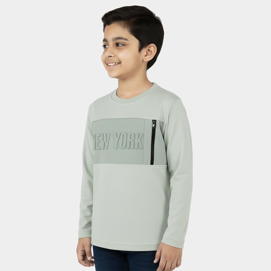 Boys Light Sage Green Cotton Round Neck Casual T-Shirt, हल्का हरा, large image number null
