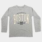 Boys Grey Cotton Blend Crew Neck Regular T-Shirt, Melange Light Grey, small