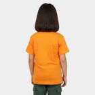 Girls Orange Round Neck Regular T-Shirt, नारंगी, small