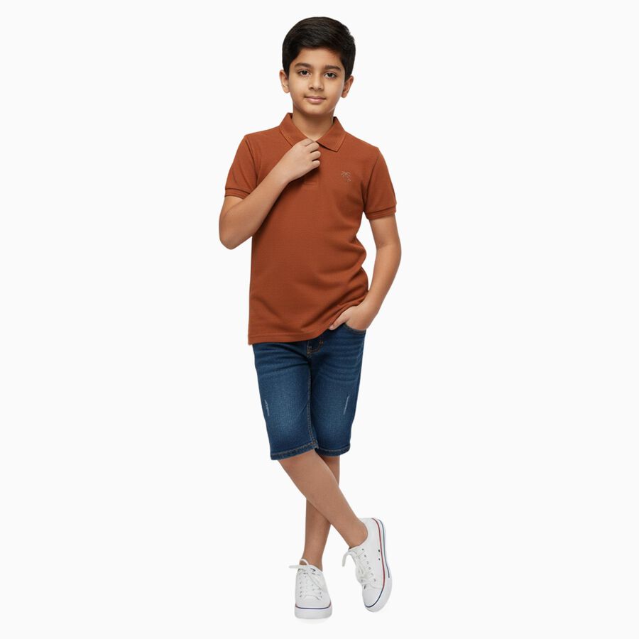 Boys' Half Sleeves T-Shirt, Brown, large