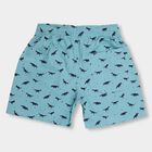 Boys' 100% Cotton Bermudas, हल्का नीला, small image number null