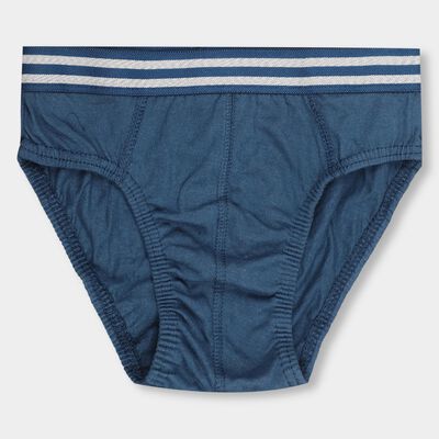 Boys' Deep Steel Blue Regular Fit V-Cut Briefs