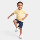 Boys Yellow Polo Neck Polo T-Shirt, पीला, small