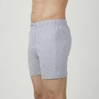 Men's Grey Regular Fit Trunks, मिश्रित हल्का ग्रे, small