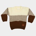 Infants Brown Crew Neck Knitted Design Pullover, भूरा, small