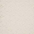 Girls' Off-White Round Neck Casual T-Shirt, Off White, small image number null