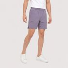 Men's Lilac Regular Fit Shorts, Lilac, small