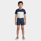 Boys' Navy Cotton Regular Fit Printed Briefs, Navy Blue, small