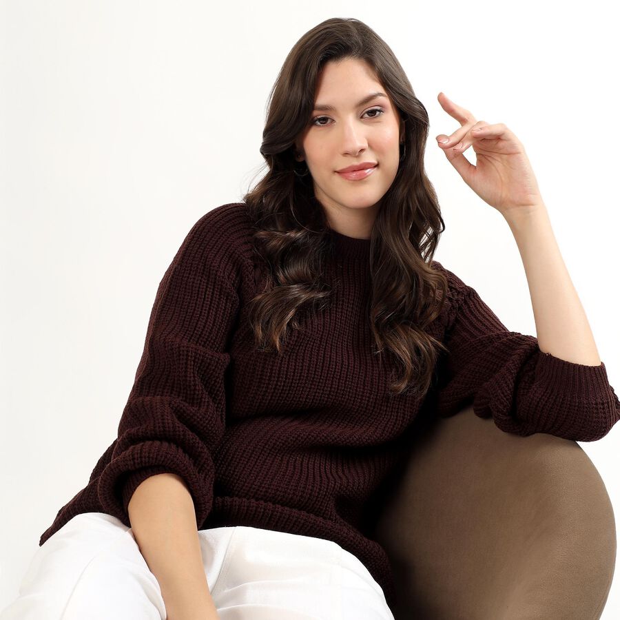 Women's Dark Brown Crew Neck Casual Pullover, भूरा, large image number null