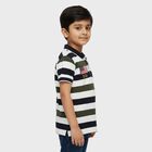Boys Olive and Navy Polo Neck Casual T-Shirt, ओलिव, small
