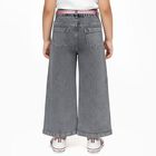 Girls' Muted Charcoal Grey Wide-Leg Embroidered Jeans, हल्का ग्रे, small image number null