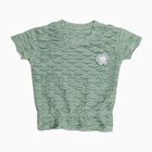 Girls Light Sage Green Round Neck Casual T-Shirt, Light Green, small
