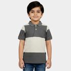 Boys Mid Blue Polo Neck Casual T-Shirt, मध्यम नीला, small
