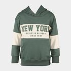 Boys Dark Sage Green Hooded Neck Graphic Sweatshirt, Dark Green, small image number null