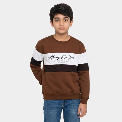 Boys' Brown Crew Neck Pullover Sweatshirt