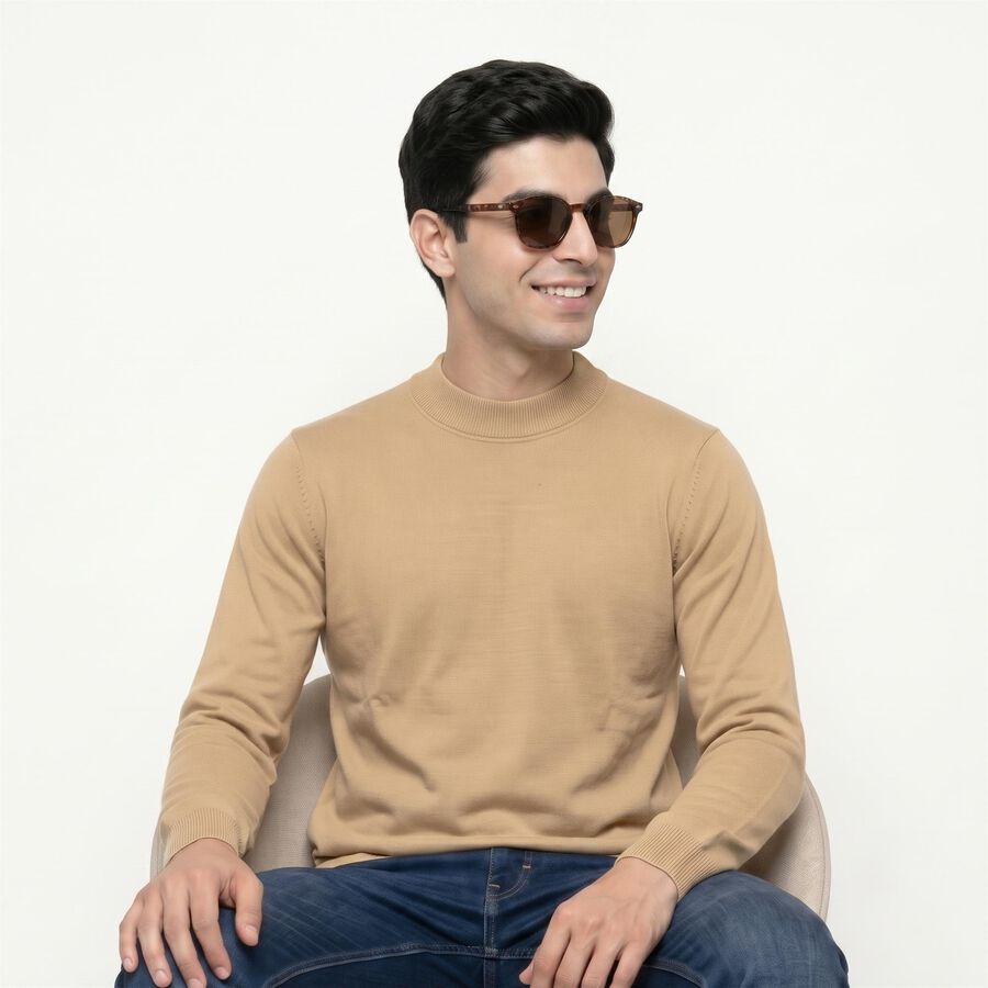 Men's Beige Crew Neck Pullover, Beige, large