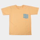 Boys Peach Crew Neck Regular Boys T-Shirt, पीच, small