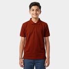 Boys Brown Polo Neck Polo T-Shirt, भूरा, small
