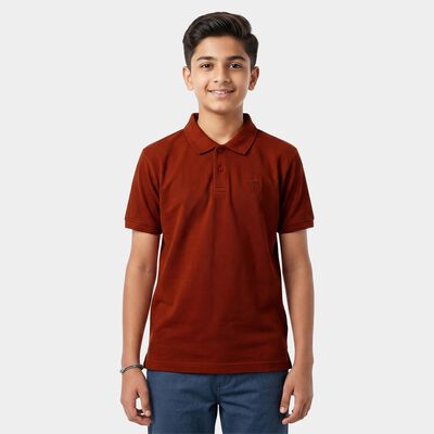 Boys Brown Polo Neck Polo T-Shirt