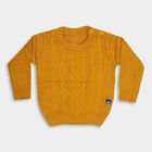Infants Bright Mustard Yellow Round Neck Casual Pullover, Yellow, small image number null