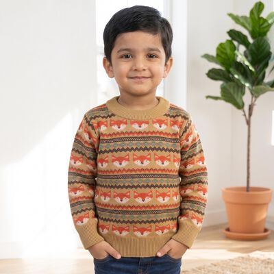 Boys' Beige Crew Neck Printed Pullover