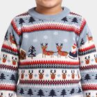 Boys Light Blue Crew Neck Printed Pullover, हल्का नीला, small