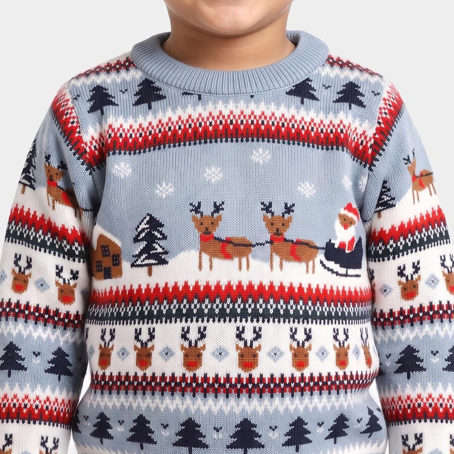 Boys Light Blue Crew Neck Printed Pullover, हल्का नीला, large