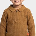Boys Brown Collared Half Zip Pullover, भूरा, small