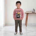 Boys' Pink Crew Neck Graphic Print Sweatshirt, गुलाबी, small