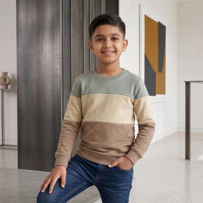 Boys Beige Crew Neck Colorblocked T-Shirt