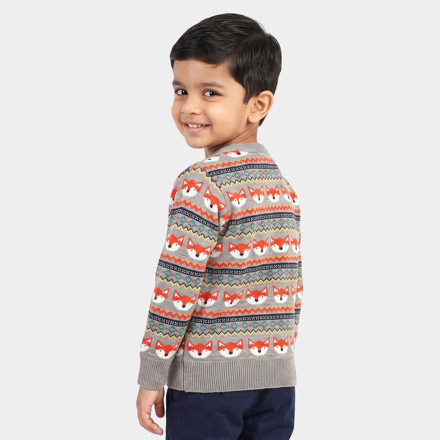 Boys Grey Crew Neck Printed Pullover, Light Grey, large