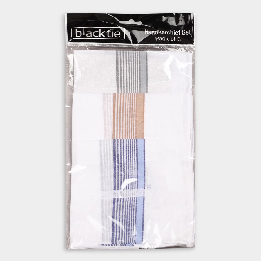 Men's Hanky, White, large