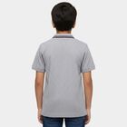 Boys' Light Grey Cotton Round Neck Graphic Printed T-Shirt, Light Grey, small