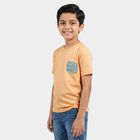 Boys Peach Crew Neck Regular Boys T-Shirt, पीच, small