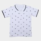 Boys White Cotton Polo Neck Polo Boys T-Shirt, सफ़ेद, small