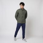 Men's Olive Green Stand Collar Puffer Jacket, Olive, small