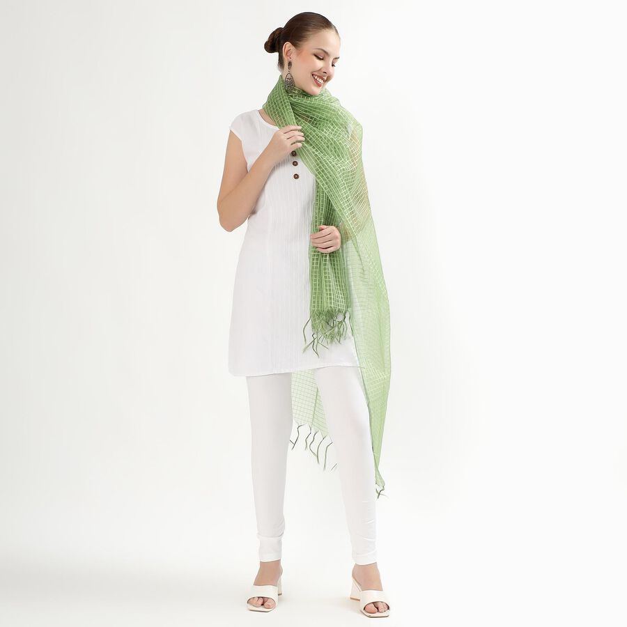 Women's Light Sage Green Checkered Dupatta, हल्का हरा, large image number null