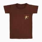 Boys Deep Brown Crew Neck Casual T-Shirt, भूरा, small image number null