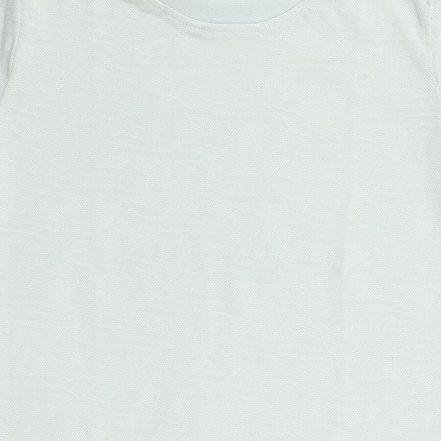 Boys Light Green Round Neck Casual Half Sleeve T-Shirt, हल्का हरा, large