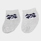 Infants Cotton Solid Socks, Light Green, small image number null