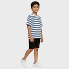 Boys Light Blue and White Cotton Crew Neck Casual T-Shirt, हल्का नीला, small