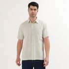 Men's Pale Sage Green Cotton Half Sleeve Spread Collar Casual Shirt, एक्वा, small