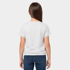 Girls Grey Round Neck Regular T-Shirt, मिश्रित हल्का ग्रे, small
