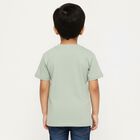 Boys Light Sage Green Cotton Crew Neck Casual T-Shirt, Light Green, small image number null