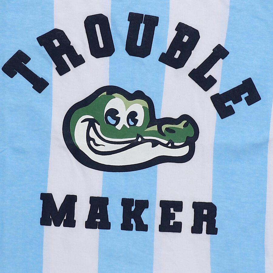 Boys Light Blue Cotton Crew Neck Casual T-Shirt, Light Blue, large