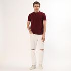 Men's Deep Burgundy Polo Collar Casual T-Shirt, Wine, small
