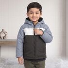Boys' Light Blue Hooded Puffer Jacket, Light Blue, small