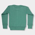 Boys Light Sage Green Crew Neck Casual Pullover, हल्का हरा, small image number null