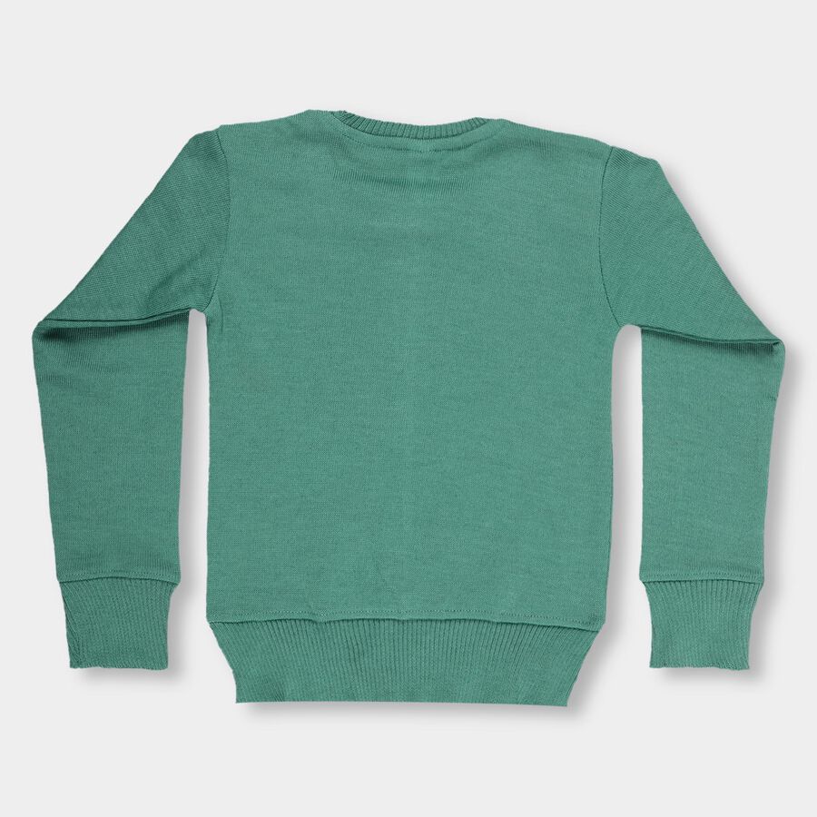 Boys Light Sage Green Crew Neck Casual Pullover, हल्का हरा, large image number null